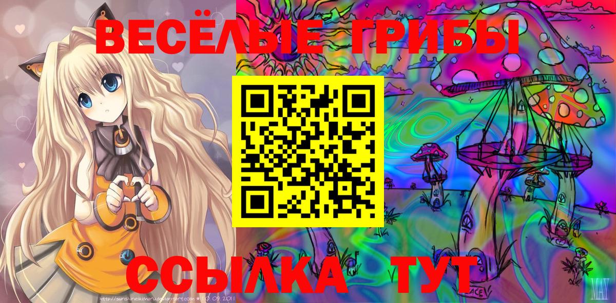 Галлюциногенные грибы GOLDEN TEACHER  Вход с VPN  Соликамск 
